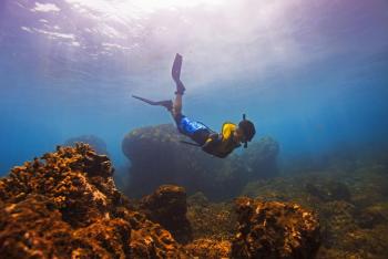 Snorkeling Caño Island Tour, South Pacific, Costa Rica photo